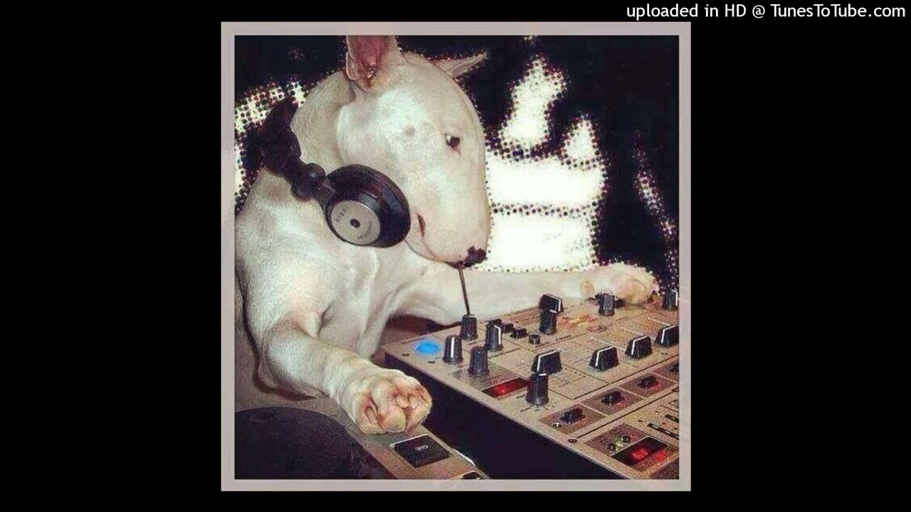 *free* 15drtt + rexv2 + pray + tana type beat (ig- @15drtt)