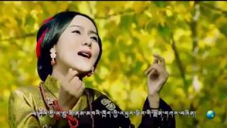 Tsewang Lhamo 澤旺拉姆  《山歌的故乡》 The Hometown of Folk Song