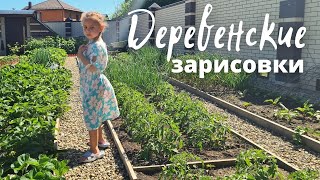 Зарисовки Деревенской Жизни