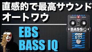 オートワウ】エフェクター苦手な人でも簡単に使える、ベース初心者にも