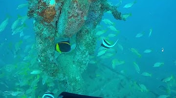 Dive Deeper with the SRV-8 ROV: Simplifying Underwater Discovery