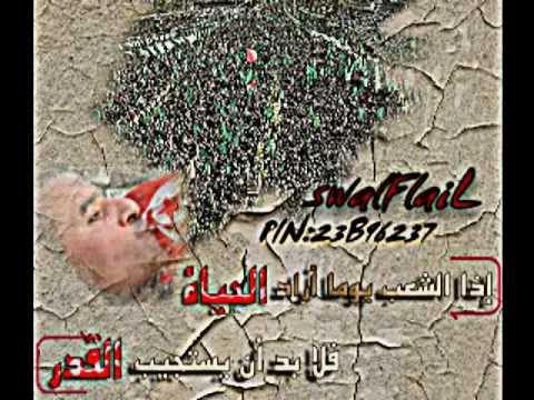 اذا الشعب يوما اراد الحياه الثورات العربية