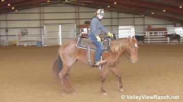 Titanium Topsy - turns, sidepasses, jog, lope, stops! - ValleyViewRanch.net
