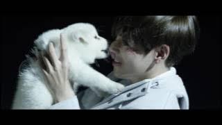 BTS 'V' - Stigma M/V