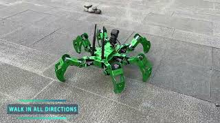 Jetson Nano Smart Bionic Programmable Hexapod Robot