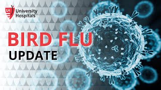 H5N1 Bird Flu Update: Latest Information From Dr. Keith Armitage