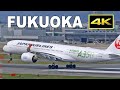 [4K] Plane Spotting at Fukuoka Airport in Japan on May 4, 2021 / 福岡空港 / Fairport