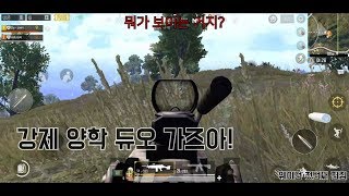 유켄 웨이던과 함께 듀오 하이라이트 모바일 배틀그라운드
