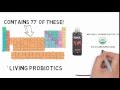 Black Living Water Alkaline, Probiotics Electrolytes 77+ Minerals pH 10