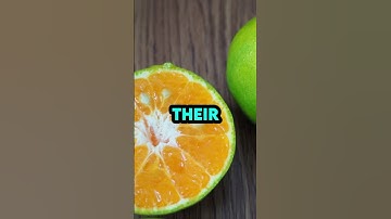 The Surprising Truth About Oranges: Why Aren