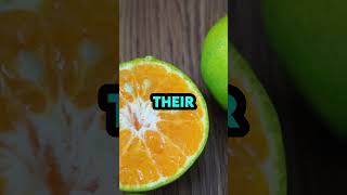 The Surprising Truth About Oranges: Why Aren't They Always Orange? #shorts