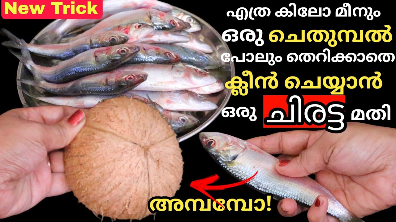 ഒരു കുഞ്ഞു ചിരട്ടയും ഒരുപാത്രം വെള്ളവും ഉണ്ടെങ്കിൽ മത്തി ബെഡ്‌റൂമിൽ ഇരുന്നും ക്ലീൻ ചെയ്യാം|Tips