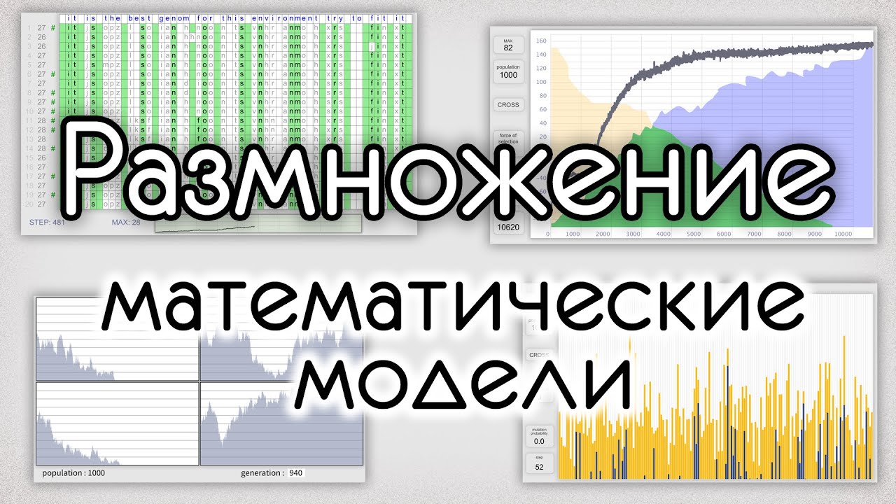 Сравнение полового и бесполого размножения на простых моделях. - YouTube