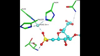 Molecular Docking Studies screenshot 5