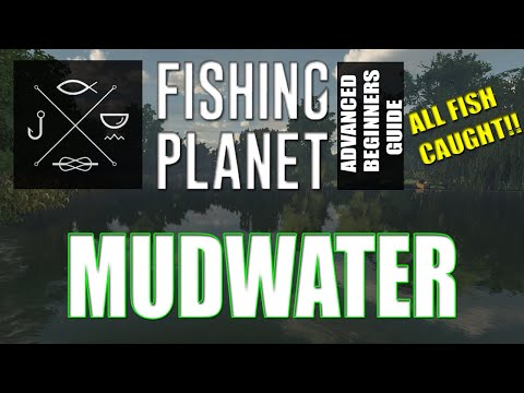The Complete Fishing