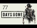 Days Gone - Хотел примкнуть к этим ублюдкам?