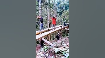 According to the process of wood, good tools can improve efficiency.