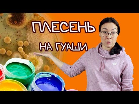 Гуашь покрылась плесенью! Почему? И что делать?