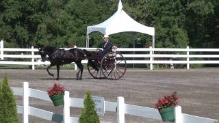 8-10-2011 Gent/Single Horse Meadowbrook/Road Cart - Reinsmanship This class has two parts, an Individual Reinsmanship pattern, and then all selected entries return to the ring for work on the rail, the