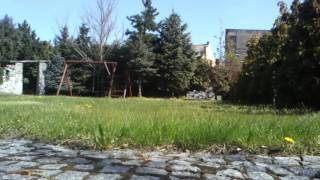 CAM00255.mp4
