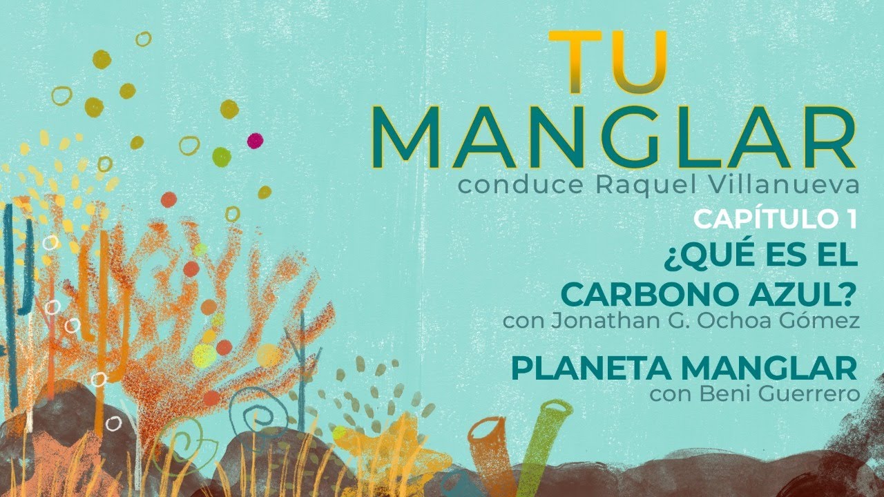 ¿Qué es el CARBONO AZUL? | #TuManglar |