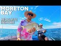 Moreton Bay | Fishing Redcliffe