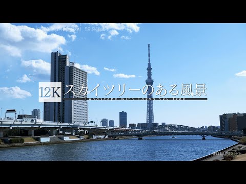 [12K footage] Landscape with Tokyo Sky Tree【スカイツリーのある風景_12K】