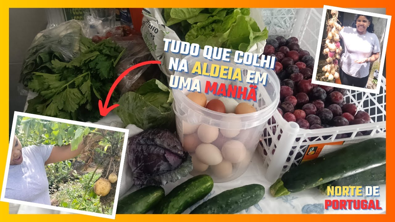 Colhi na "roça de Portugal" - Higienização e congelação para poupar.