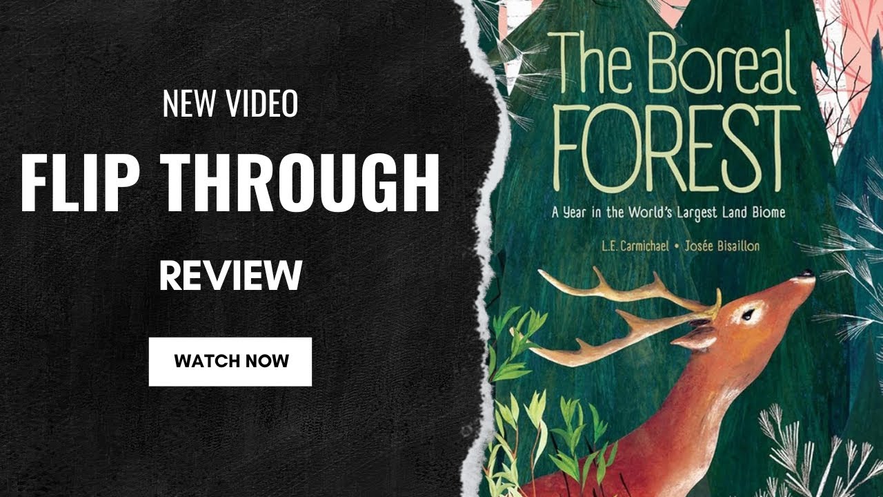 Boreal Forest: A Year in the World's Largest Land Biome - YouTube