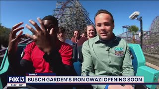 Take a ride on Iron Gwazi, Busch Gardens new hybrid roller coaster