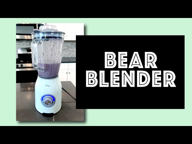 Bear Blender Review 