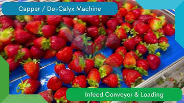 Capper / De-Calyx Machine for Strawberries & Radishes