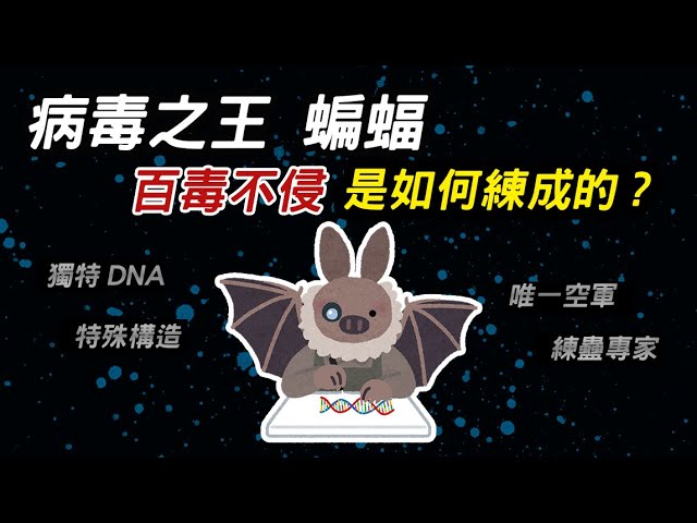 病毒之王蝙蝠 ▶ 卻百毒不侵 是如何練成的?