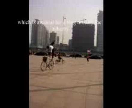 A new complicated and comprehensive standard of keyboards mu