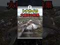 トナカイの大量死の結果