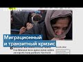 Amnesty International: мигранты в Беларуси подвергались избиениям и пыткам