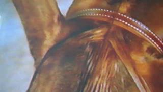 Forelock beginning B