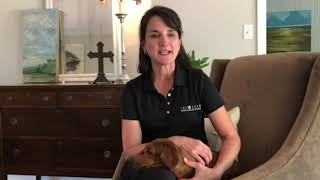 Sue Dick - Greater Tallahassee Chamber of Commerce Details