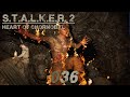 Die Schnorkhöhle &amp; Der Beginn einer langen Reise - S.T.A.L.K.E.R. 2 Heart Of Chornobyl #036 [LP][HD]