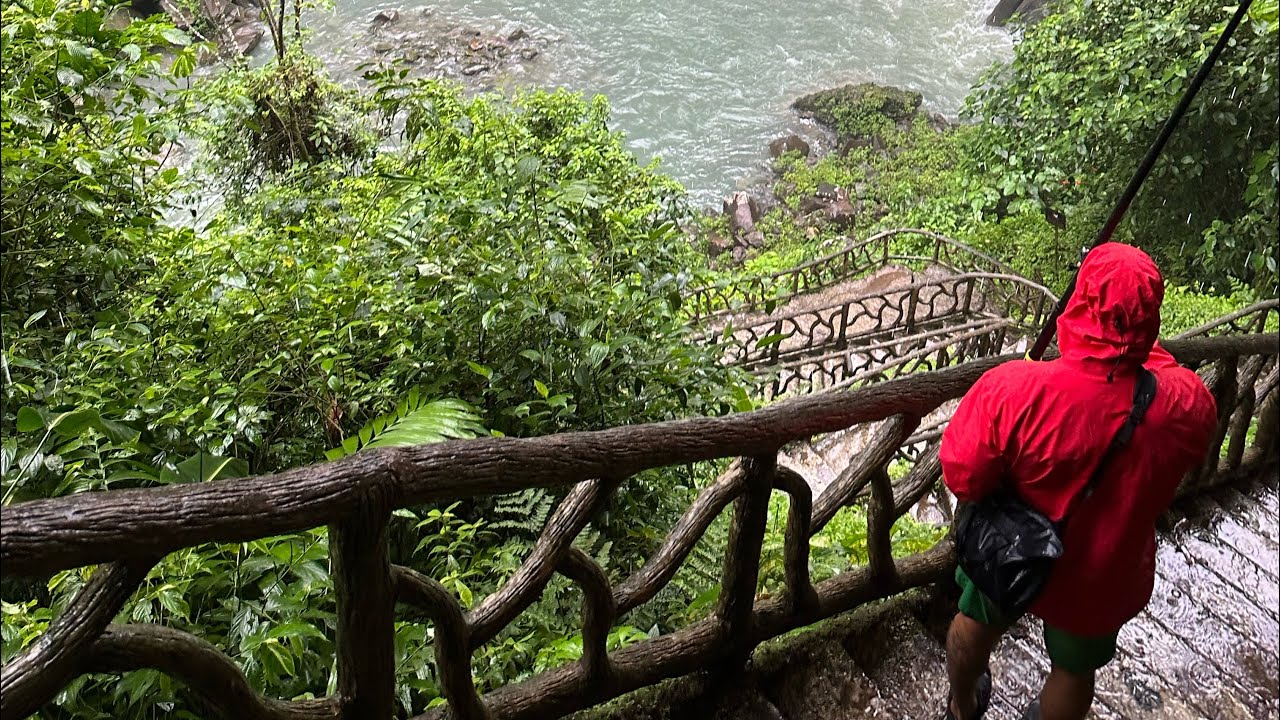 Hiking Costa Rica Rain Forest - YouTube
