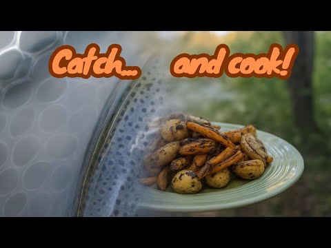 Rainbow Trout Fishing: Catch it, Cook it, Eat it!
