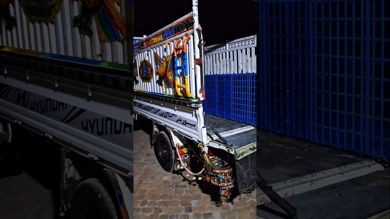 مارگلہ ریبٹ فارم (فتح جنگ) – ملک ریبٹ فارم اکیڈمی کے پریمیم سٹاک کی ترسیل! 🚛🐇