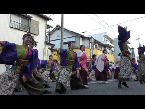「 常笑 」ろっけん通りおどりん祭 2016 旭会場