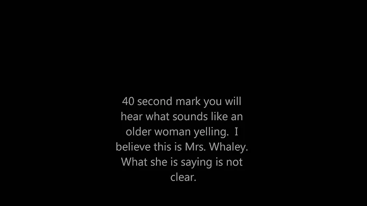 February 2009  EVP of  of woman yelling  Gerald S ...