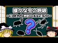 【ゆっくり解説】虫の様々な呼吸