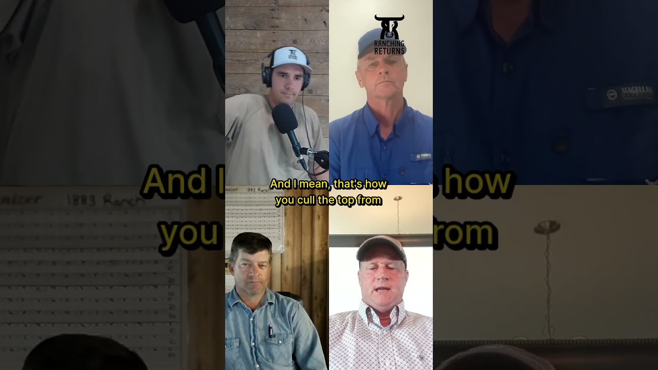 Episode 247 on Bull Development and Evaluation with Tyson Pharo, Rob Pierce and Brian Munger