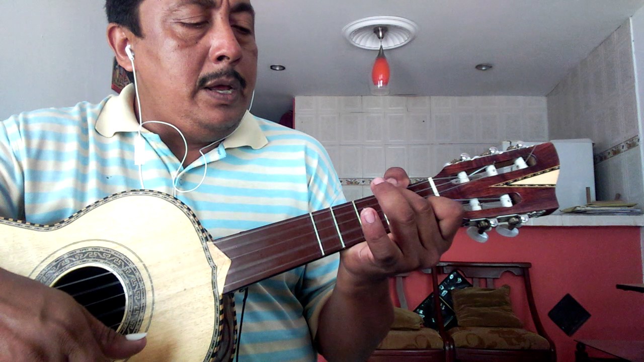 TUTORIAL VIHUELA SOMOS NOVIOS