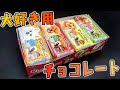 【食玩】犬好きにはたまらんすぎる犬チョコのカードがメッチャメチャ可愛い【シーズー】