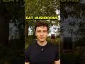 Why mushrooms are one of the best foods in the world