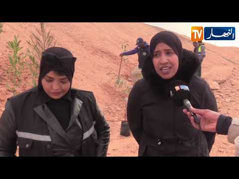 بشار حملات على طول خط السكة الحديدية بين بشار وتندوف وغار جبيلات